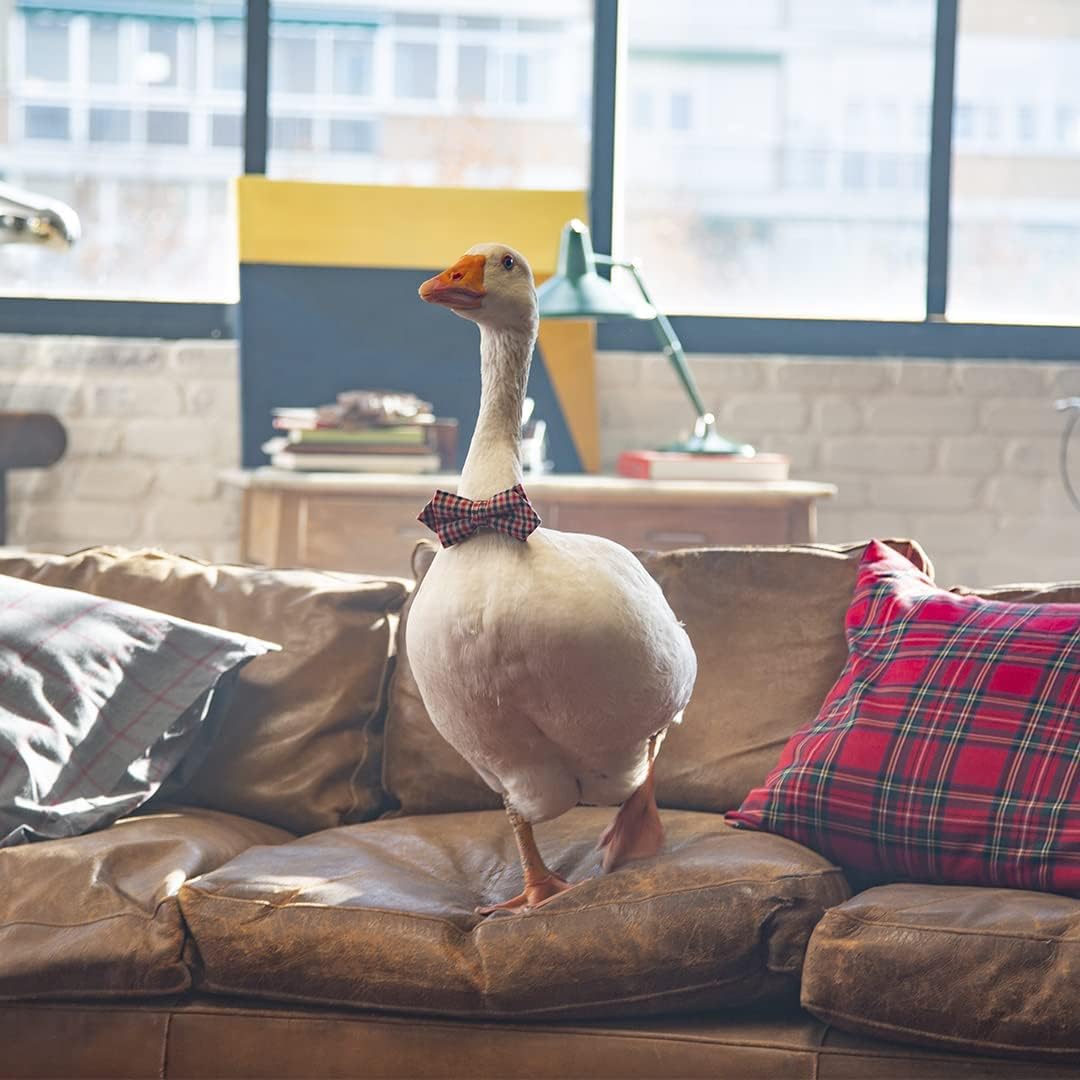 El Ganso Part Time Hero EDT 125Ml