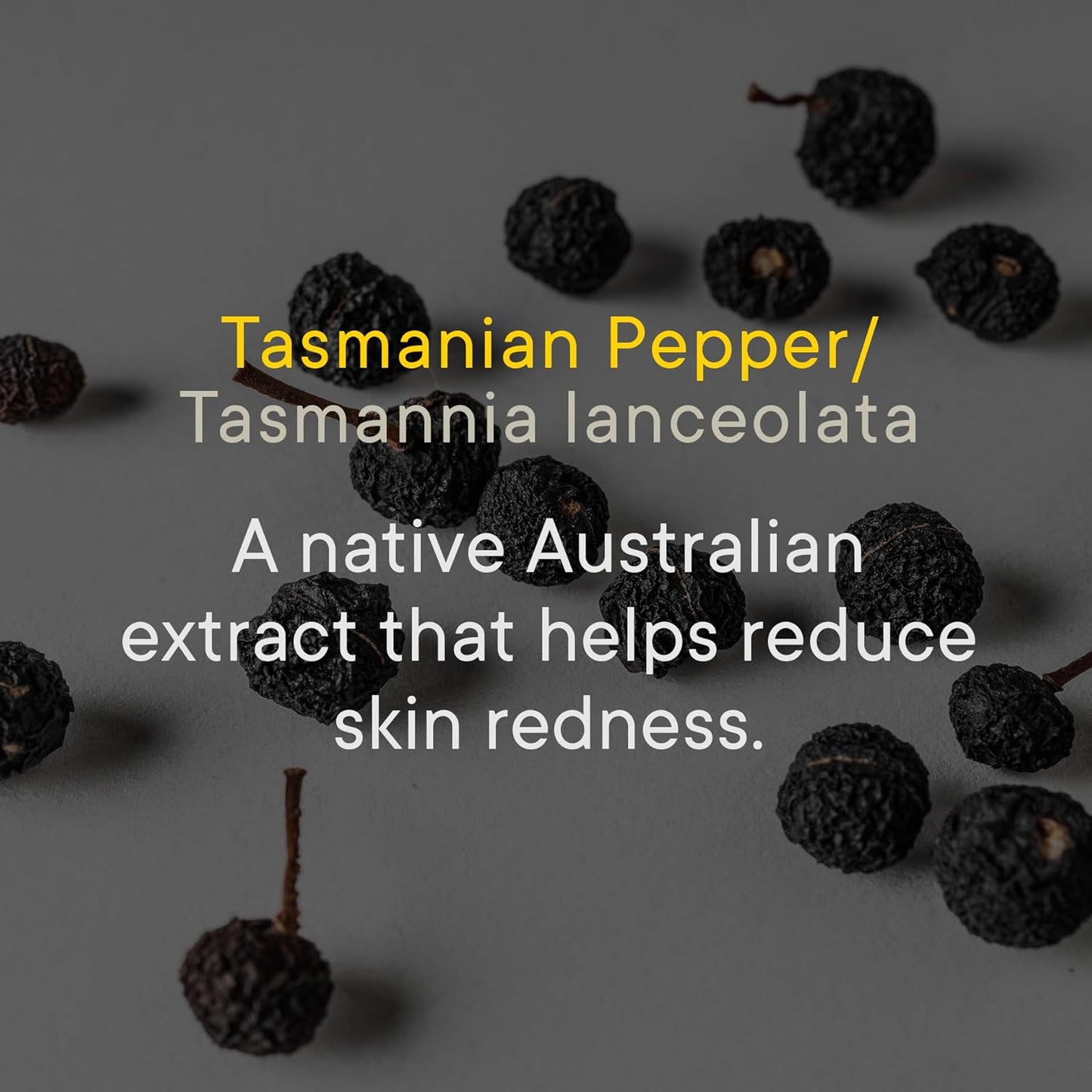 Tooletries Superior Lather Men'S Body Wash - Outback Bourbon Scent - Moisturizing Shower Gel with Tazman Pepper - Extra Fresh, Paraben Free - Reusable Bottle - 500Ml