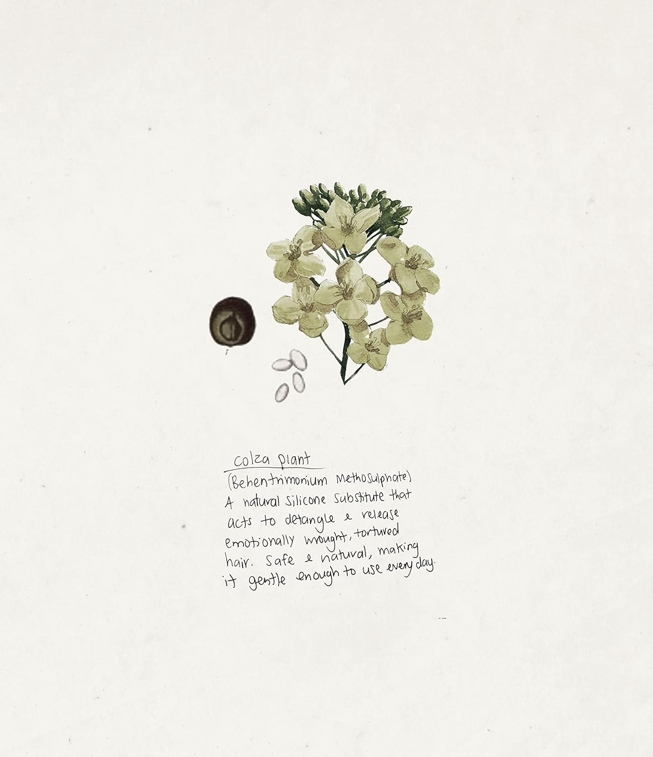 Triumph & Disaster | Conditioner, Moisturizing, Hydrating & Detangling Hair Conditioner with Keratin for Dry, Damaged Hair for Men & Women, 19.22 Fl Oz