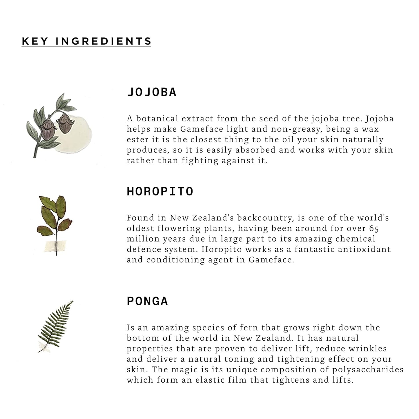 Triumph & Disaster | Gameface Moisturizer Tube | Hydrating Facial Moisturizer - Lightweight, Non-Greasy Facial Lotion for Men, 3.04 Oz