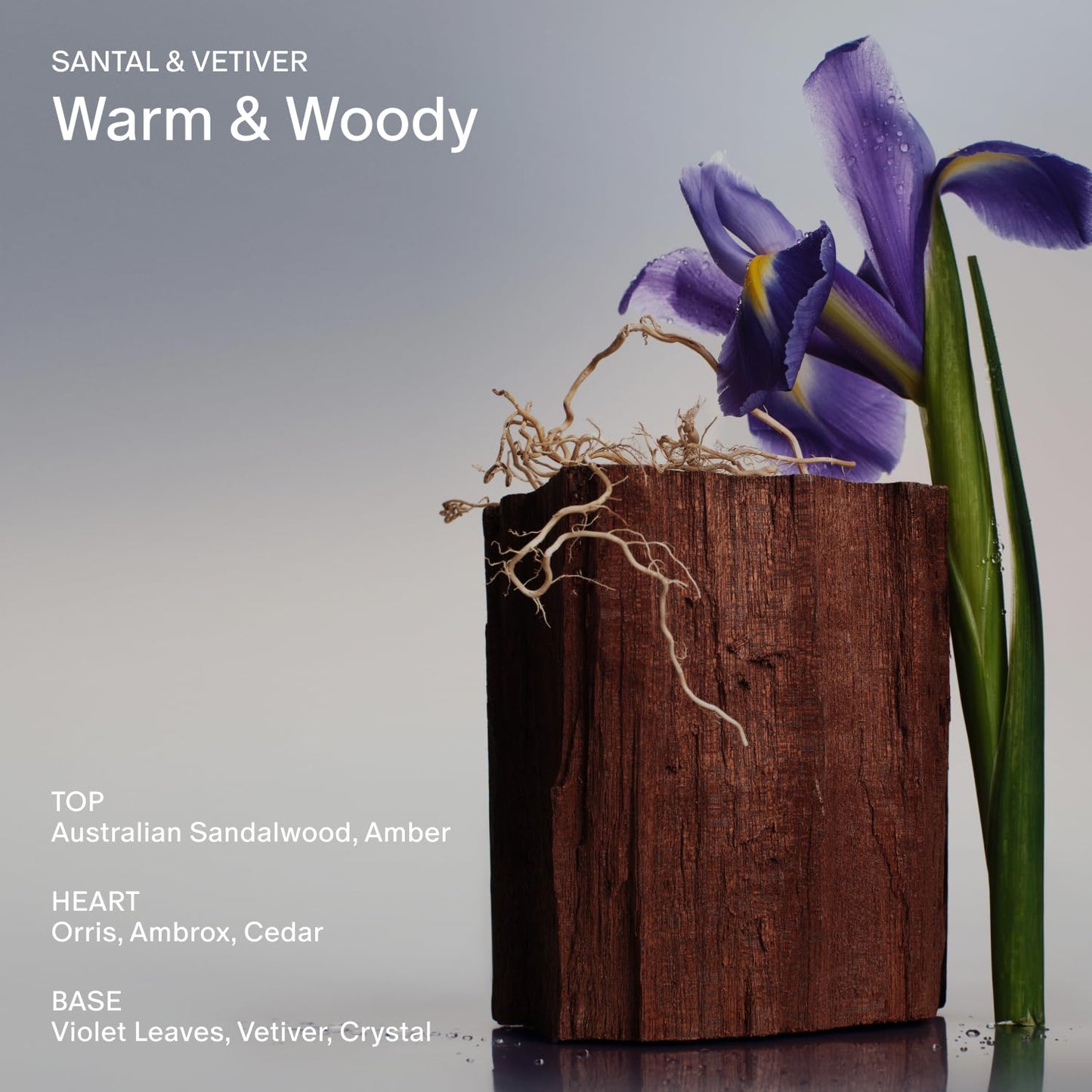 Salt & Stone Natural Deodorant - Santal | Extra Strength Natural Deodorant for Women & Men | Aluminum Free with Probiotics, Seaweed Extracts & Shea Butter (2.6 Oz)