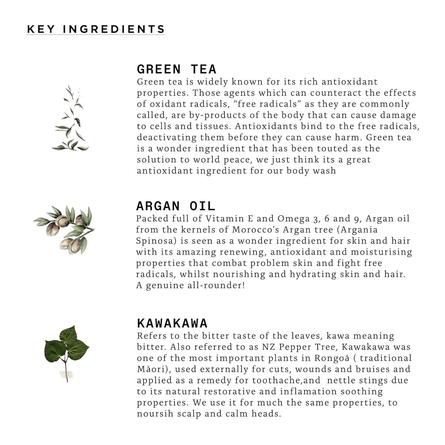 Triumph & Disaster | YLF Body & Hair Wash | Gentle & Hydrating Shower Wash for Men, 500Ml