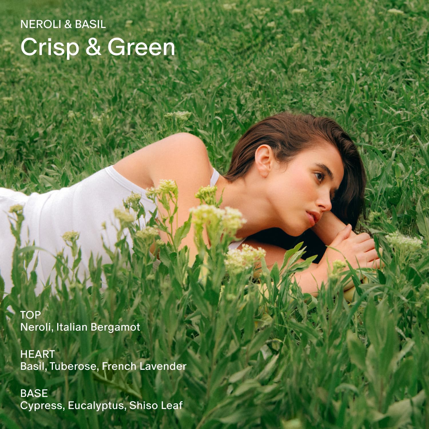 Salt & Stone Aluminum Free Deodorant | Extra Strength 48 Hour Protection for Women & Men | Made with Seaweed Extracts, Shea Butter & Prebiotics (Neroli & Basil)