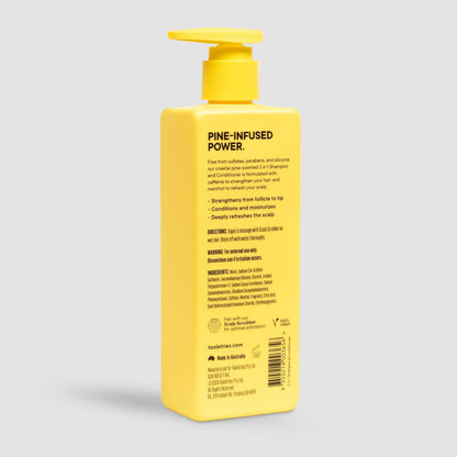 Tooletries 2-In-1 Coastal Pine Men'S Shampoo and Conditioner - Pine Scented Hair Wash with Menthol and Caffeine to Promote Hair Growth, Sulfate and Paraben Free - 10.1 Oz / 300Ml