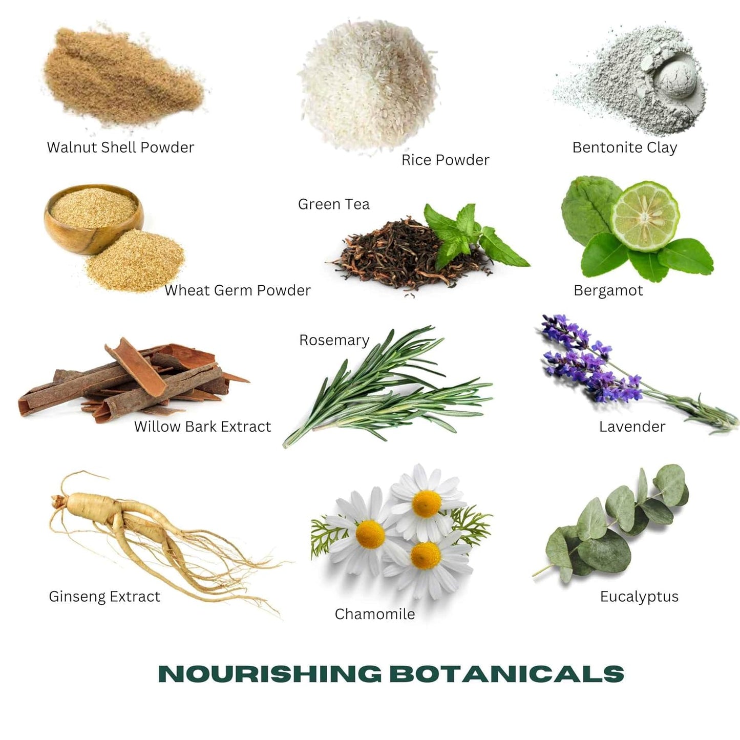 Urth Men'S Exfoliating Face Scrub with Green Tea & Rice (4 Oz), Deep Cleansing, Minimizes Blackheads, Smooths Skin, Daily Facial Scrub for Sensitive Skin, Exfoliator for Men, Revitalizes & Refresh