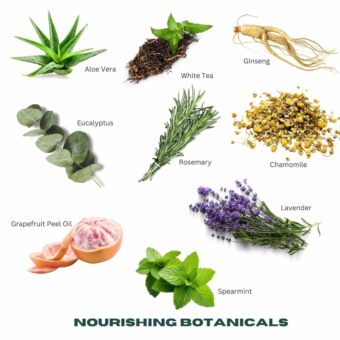 Urth Face Wash with White Tea & Ginseng Invigorating Daily Cleanser 8Oz