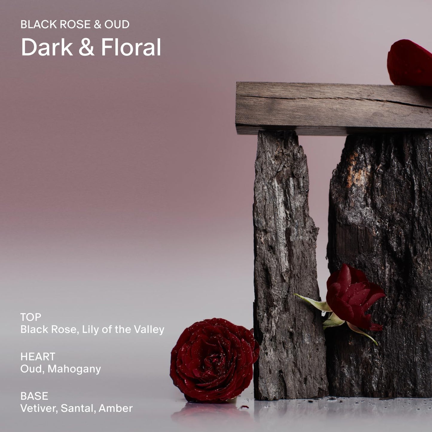  Salt & Stone Deodorant | Extra Strength Natural Deodorant for Women & Men | Aluminum Free with Seaweed Extracts, Shea Butter & Probiotics (Black Rose & Oud - 2.6 Fl Oz)