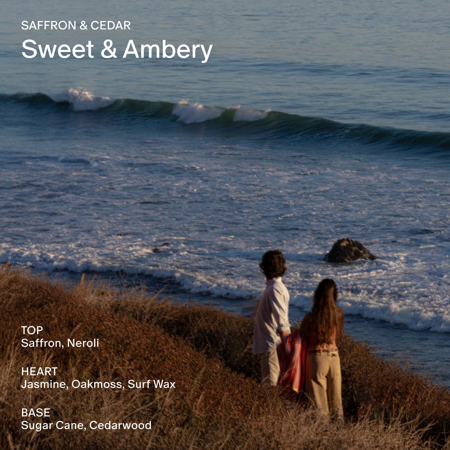 Salt & Stone Aluminum Free Deodorant | Extra Strength 48 Hour Protection for Women & Men | Made with Seaweed Extracts, Shea Butter & Prebiotics (Saffron & Cedar)